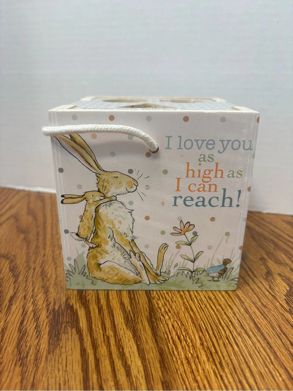 Guess How Much I Love You Shape Sorter and Plush Toy Set - EUC